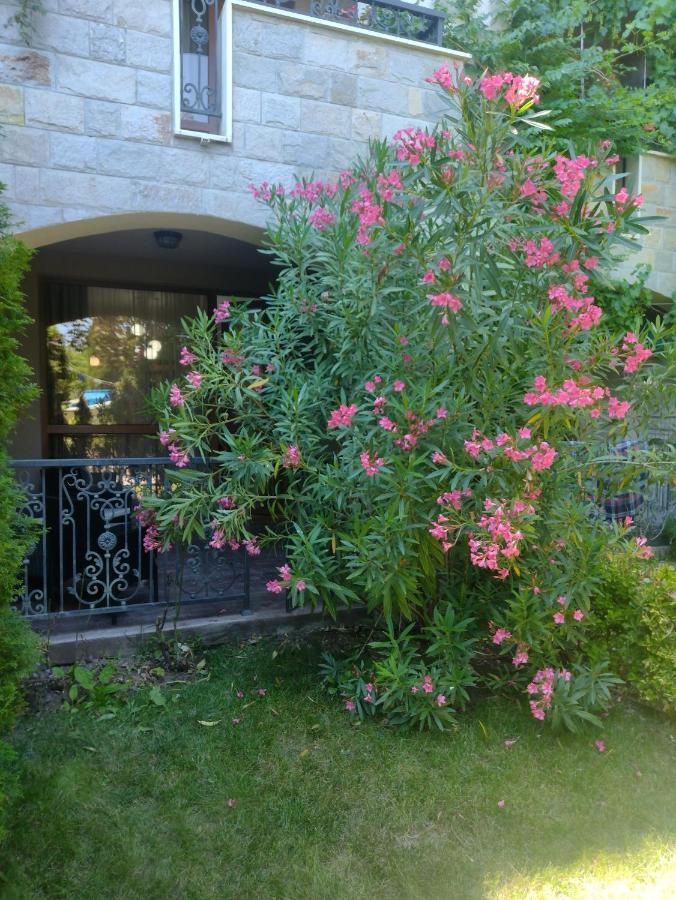 Destination Bulgaria 2000 Cascadas Private Summer Family Apartments Pantai Sunny Luaran gambar